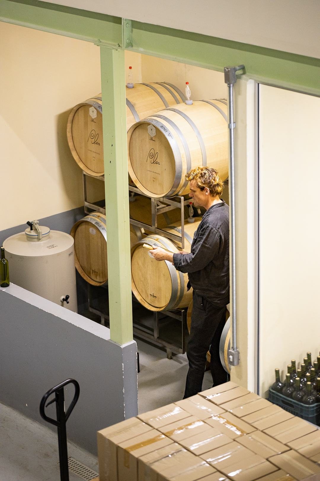 Barris de vinho e profissional trabalhando na vinícola
